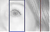 synapsys_left